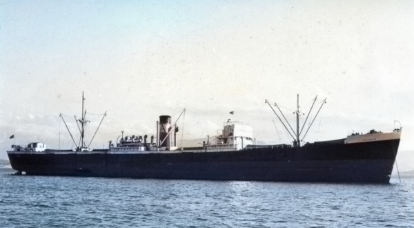 Amaconte por T. Diedrich Amaconte por T. Diedrich